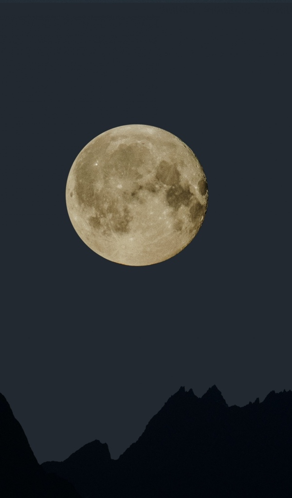 Большая белая луна над горами ночью 