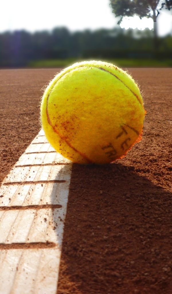 Желтый теннисный мяч лежит на поле