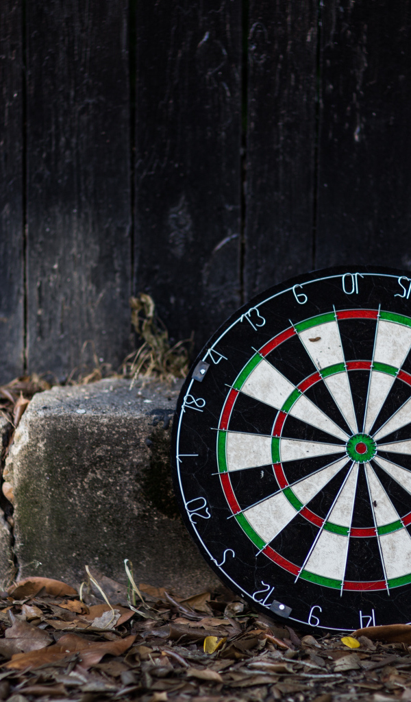 Доска мишень для дартс на земле