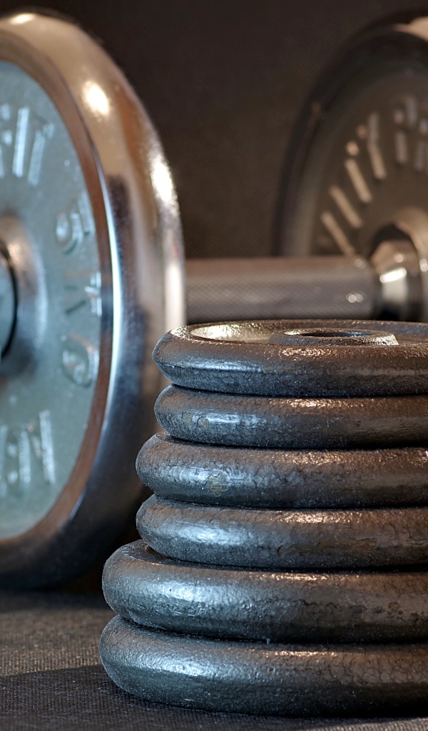 Гантеля с тяжелыми дисками