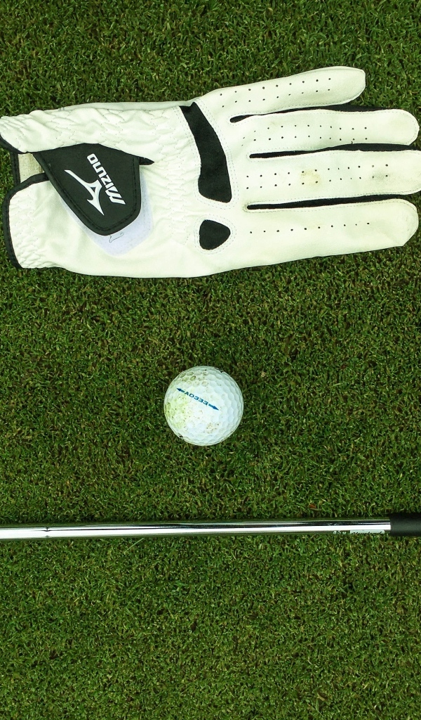 Перчатка, мяч и клюшка для гольфа