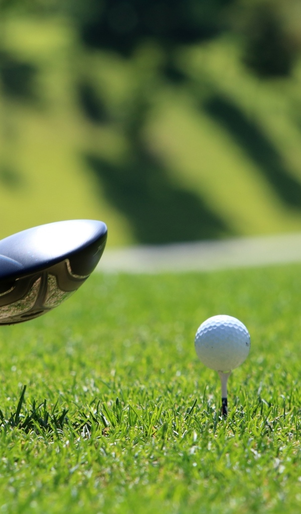 Мяч и клюшка для гольфа на зеленой траве