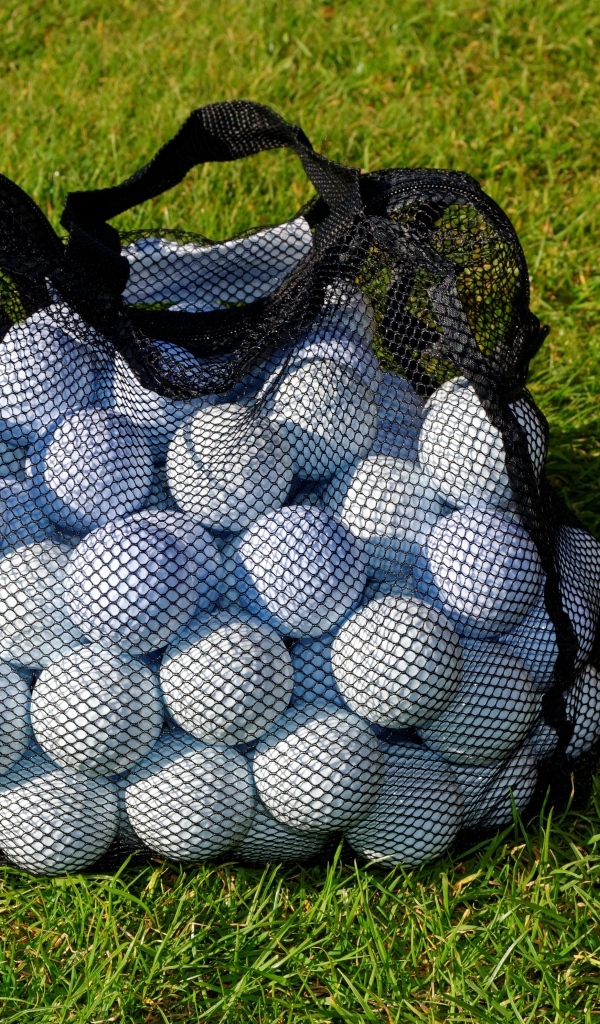 Сетка с мячами для гольфа на траве