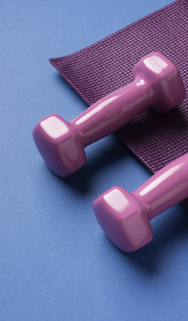 Розовые гантели и коврик на голубом фоне