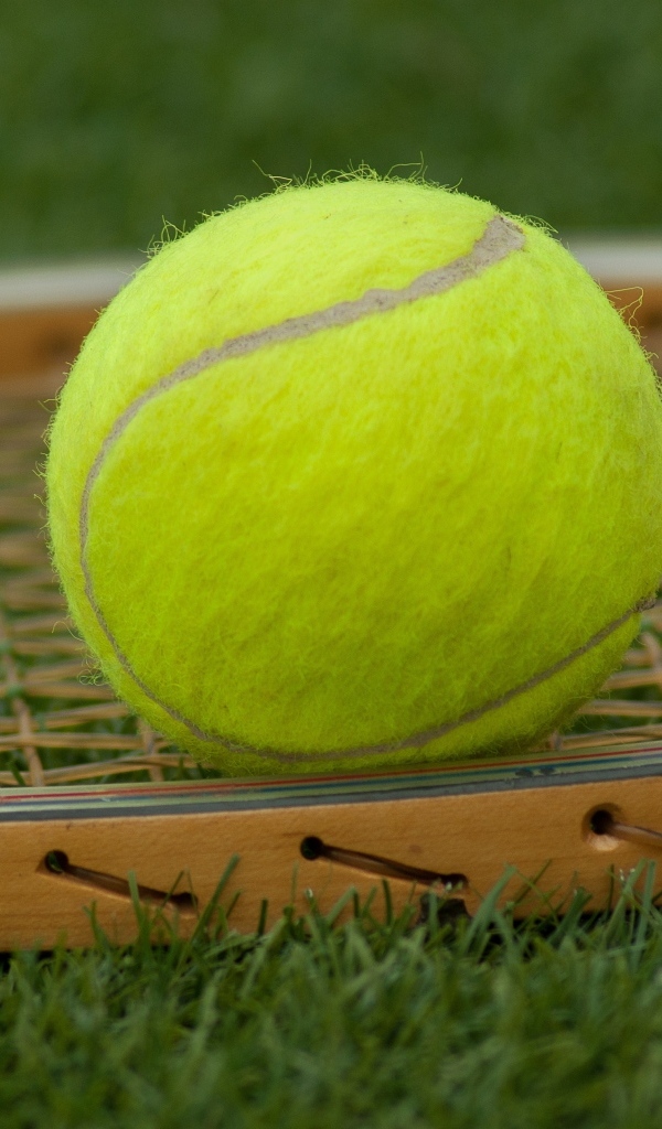 Ракетка и желтый теннисный мяч крупным планом