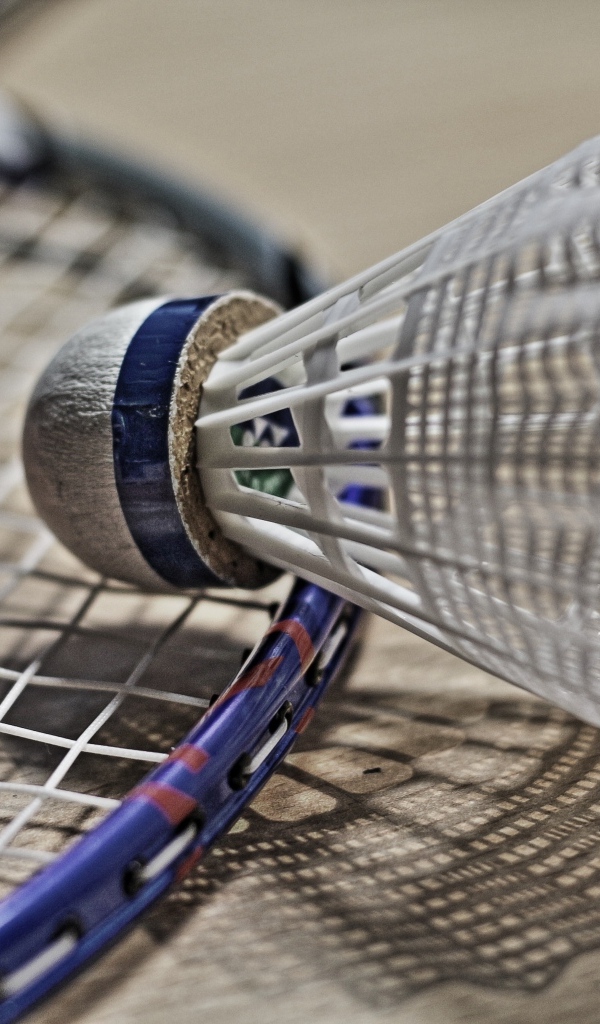 Волан с ракеткой для игры в бадминтон