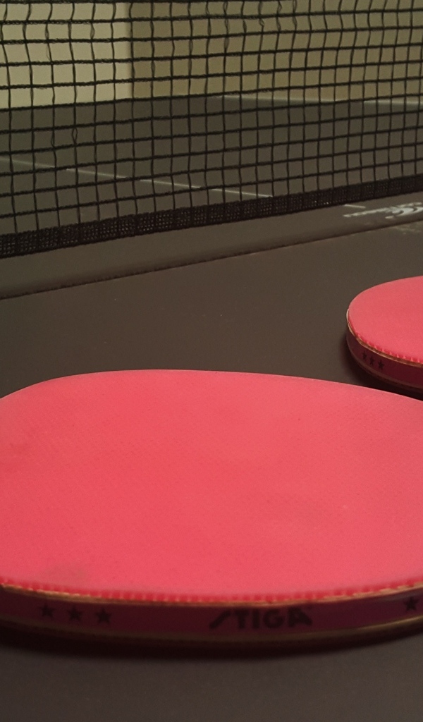 Две ракетки и маленький мяч для пинг понга