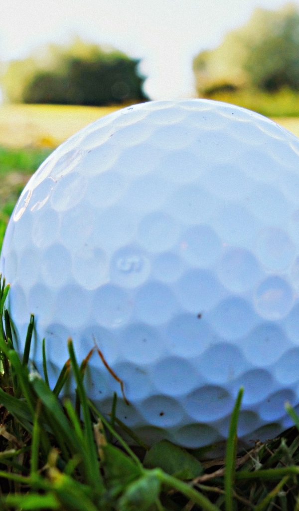 Белый мяч для гольфа в зеленой траве