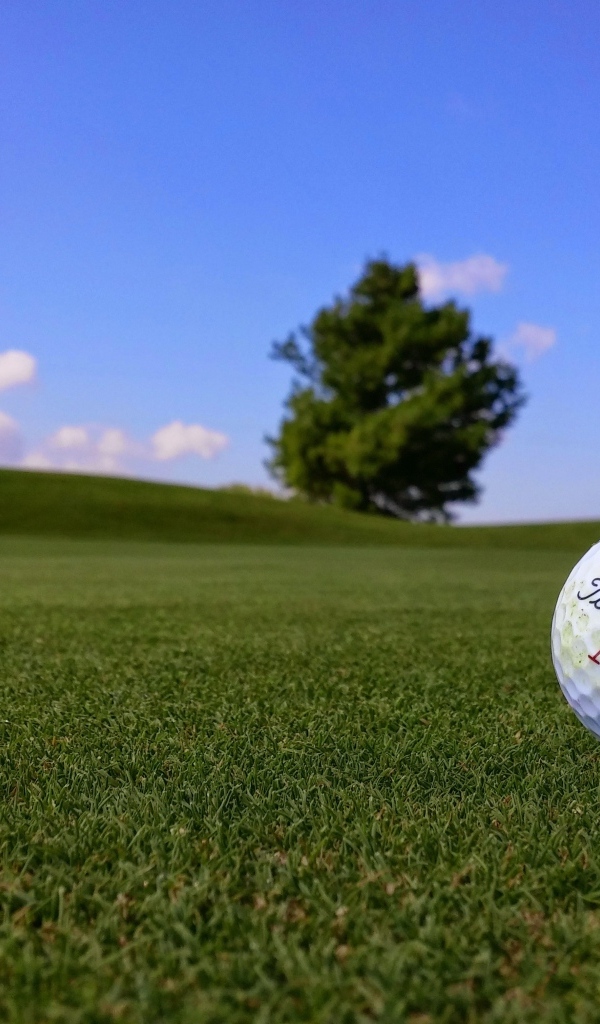 Белый мяч для гольфа на зеленой траве