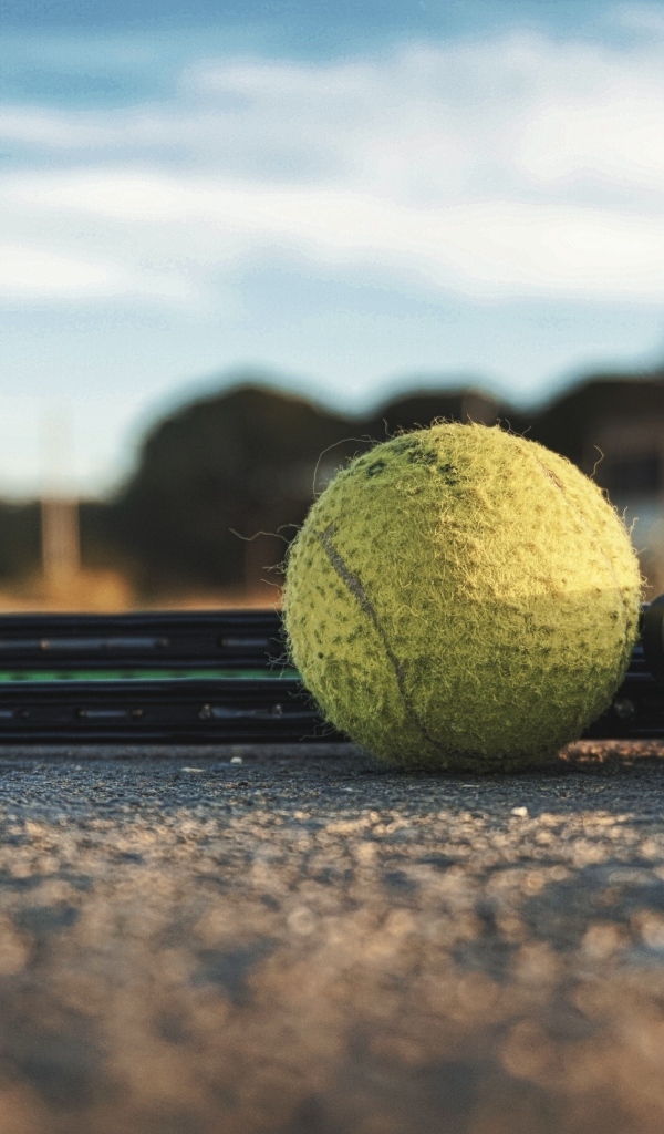 Желтый мяч и две ракетки для игры в теннис