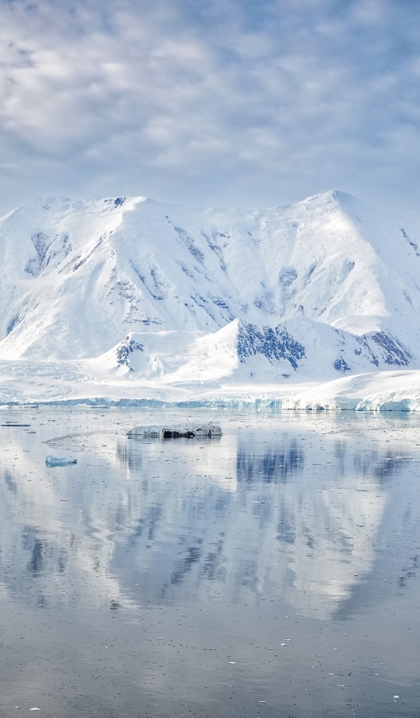Заснеженные горы под белыми облаками у океана, Антарктида 