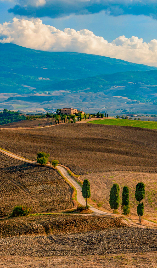 Красивый вид на поля Тосканы, Италия