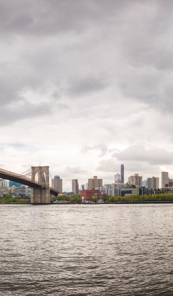 Мост через реку с видом на город Нью-Йорк, США