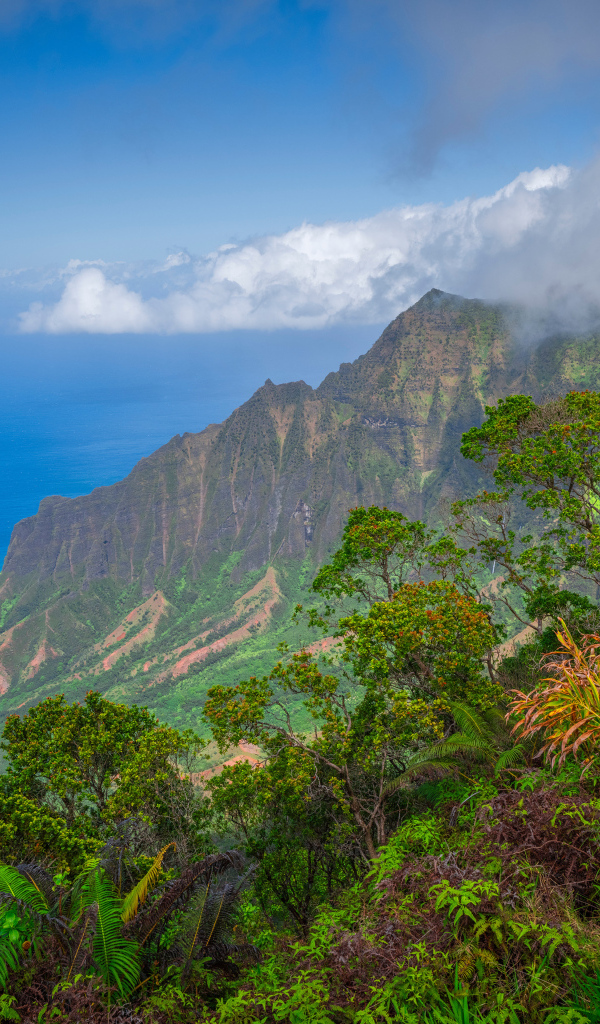 Покрытые зеленью горы на Гавайских островах, США