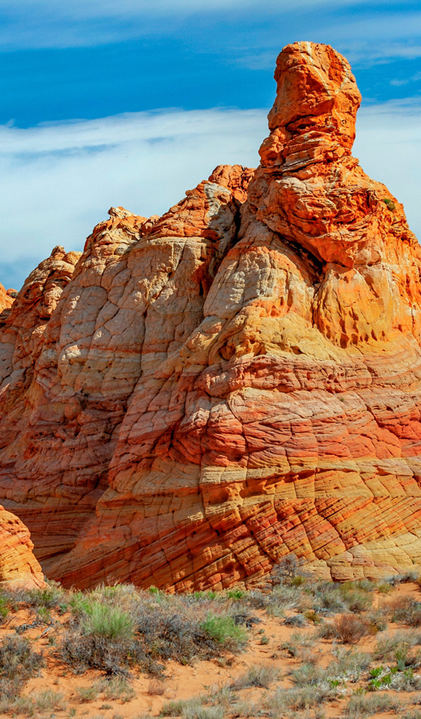 Государственный заповедник Вермилен Клифс, США