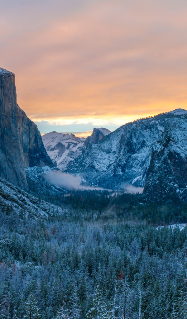 Вид на заснеженные горы и лес в национальном парке США