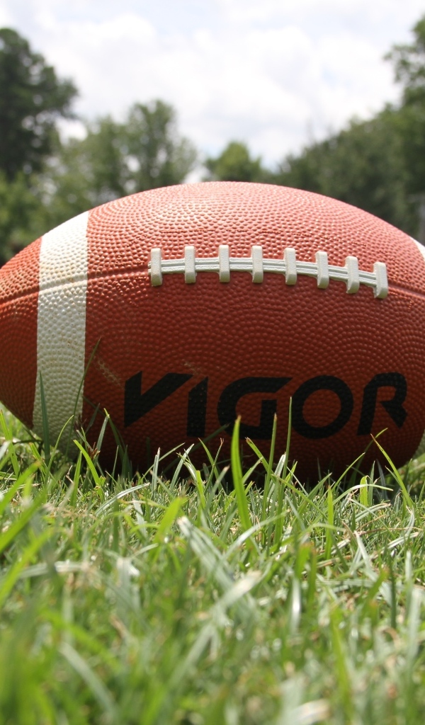 Мяч для американского футбола на зеленой траве 