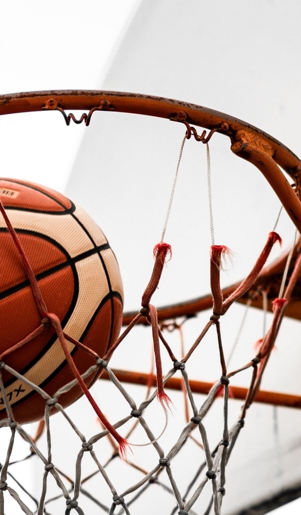 Мяч в сетке баскетбольного кольца