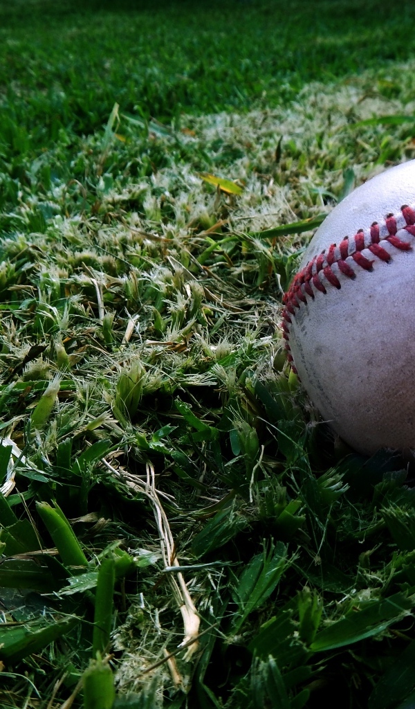 Мяч для бейсбола на траве 