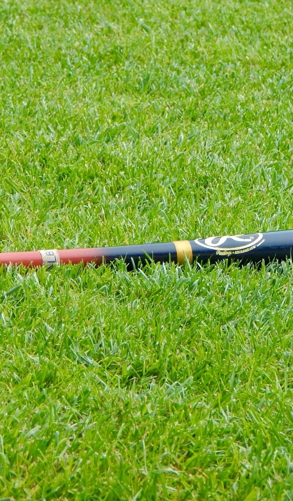 Бейсбольная бита на зеленой траве 