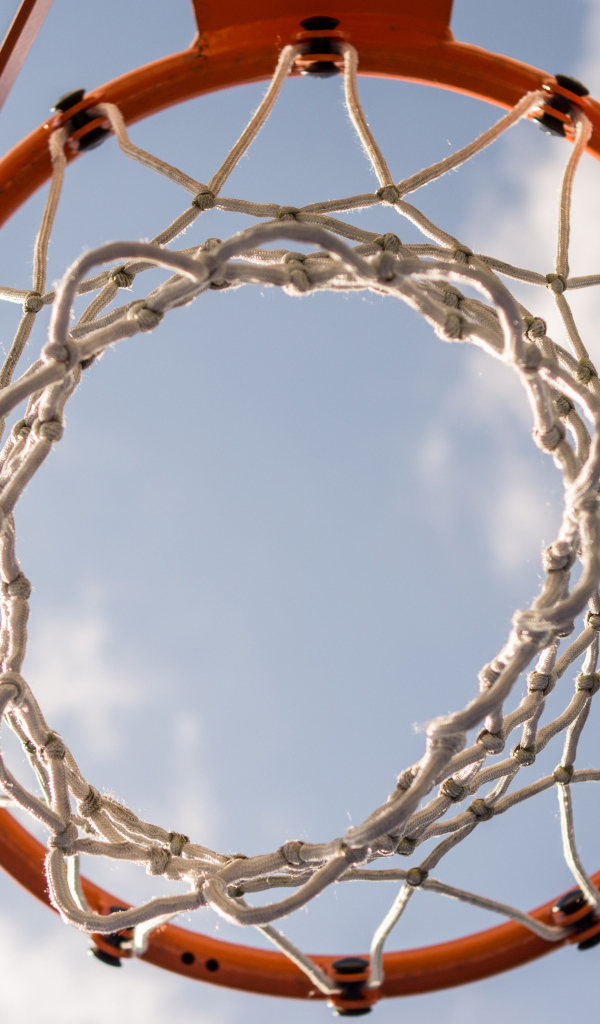 Вид снизу на баскетбольное кольцо