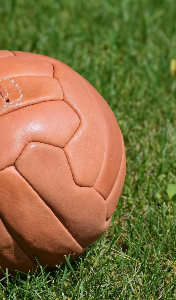 Коричневый кожаный мяч на зеленой траве 