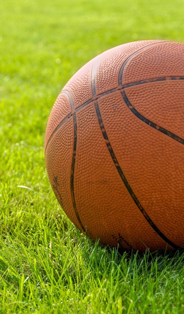Коричневый кожаный баскетбольный мяч на зеленой траве