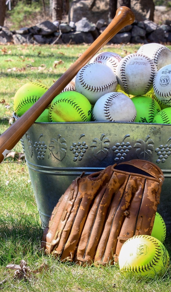 Ведро с бейсбольными мячами и битой
