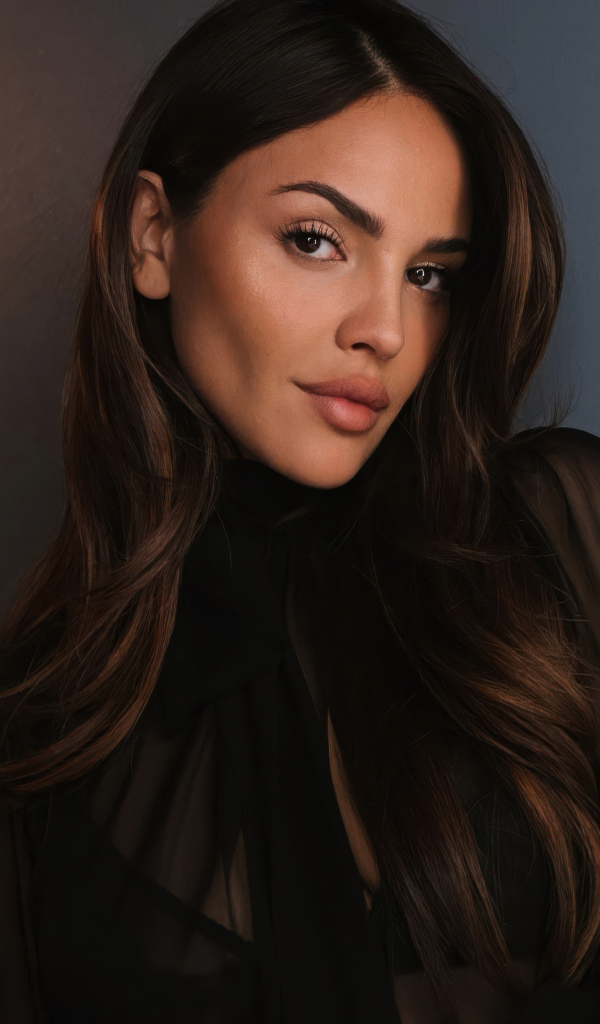 Милая кареглазая брюнетка актриса Эйса Гонсалес на сером фоне