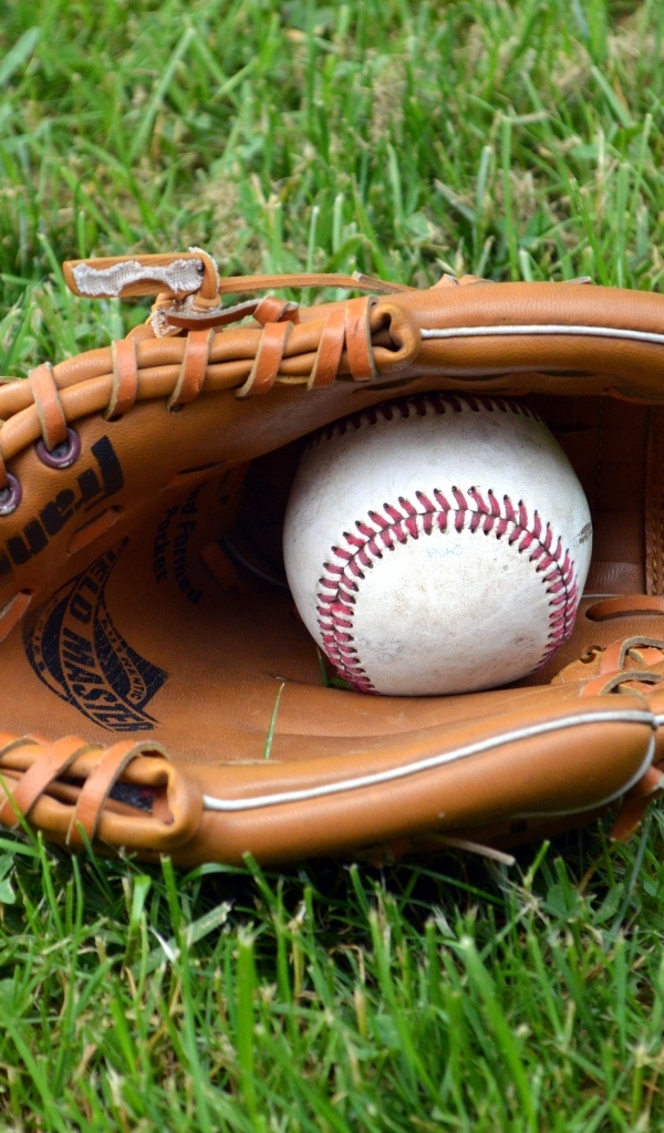 Перчатка и бейсбольный мяч на зеленой траве 