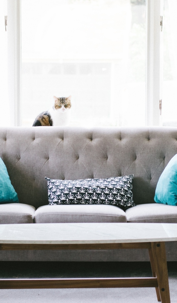 Серый диван с деревянным столом в комнате