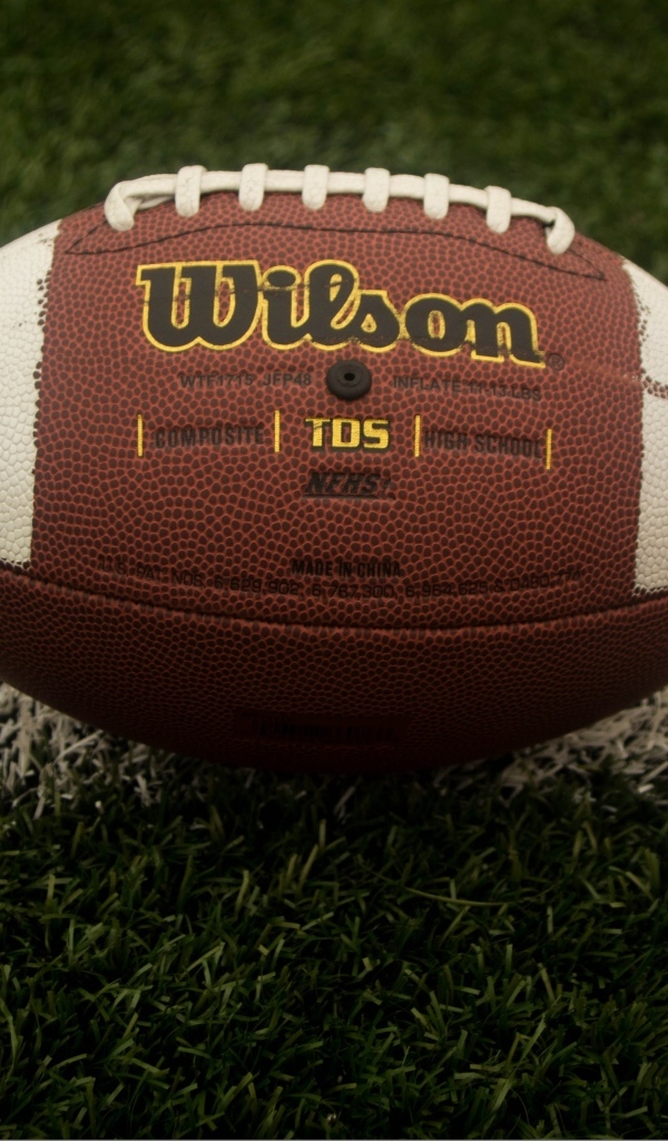 Кожаный мяч для американского футбола на зеленой траве