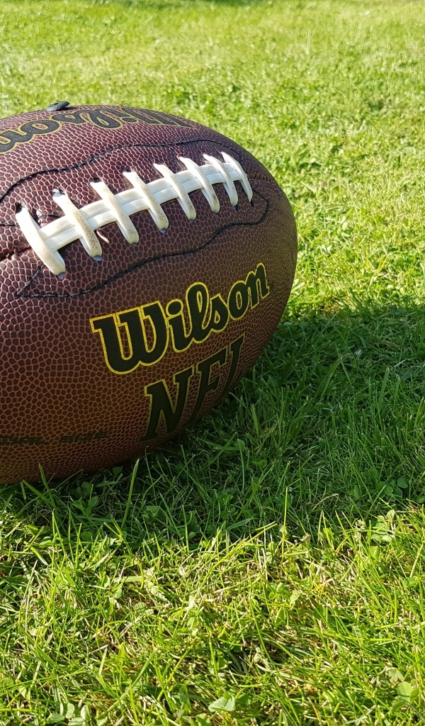 Кожаный мяч для американского футбола на зеленой траве