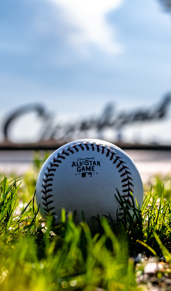 Кожаный бейсбольный мяч на зеленой траве