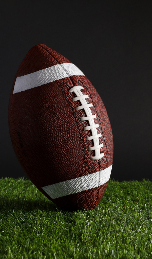 Новый кожаный мяч для американского футбола на траве