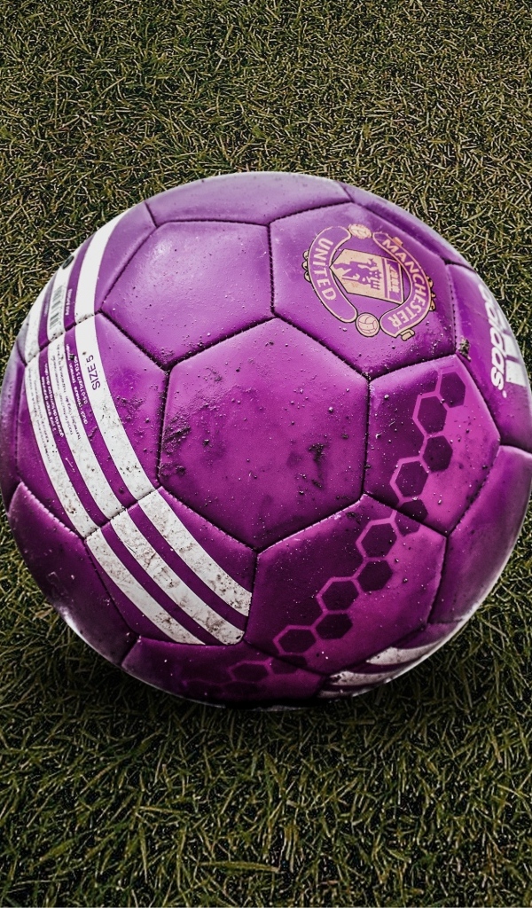 Фиолетовый футбольный мяч на траве