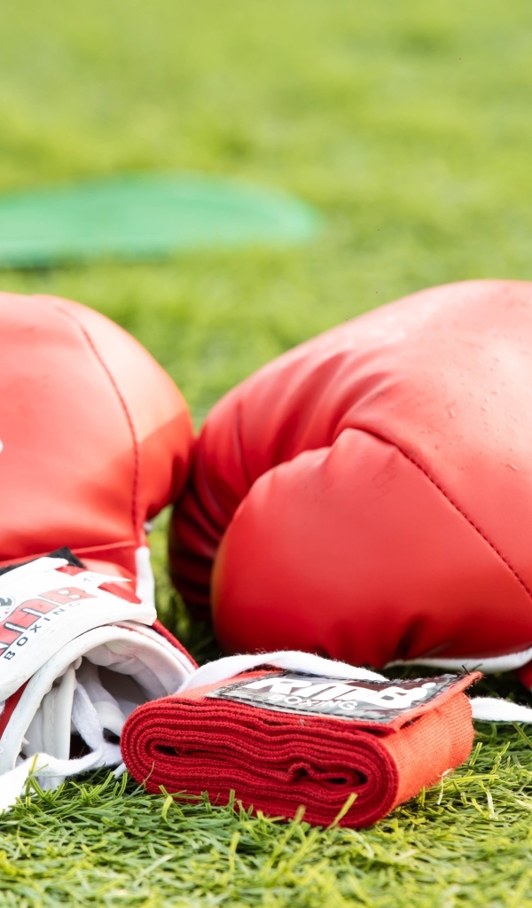 Красные боксерские перчатки лежат на зеленой траве 