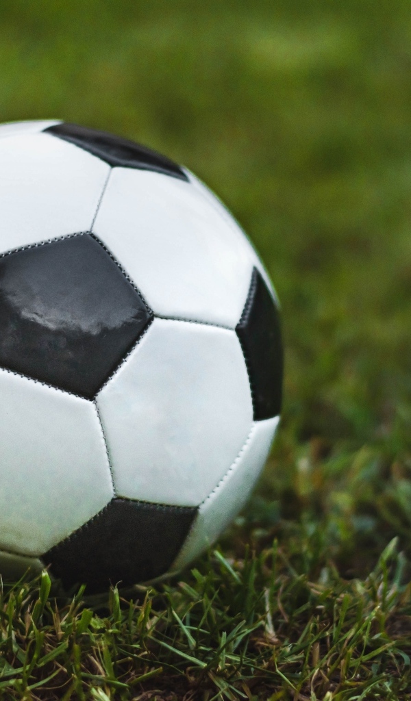 Футбольный мяч лежит на зеленой траве 