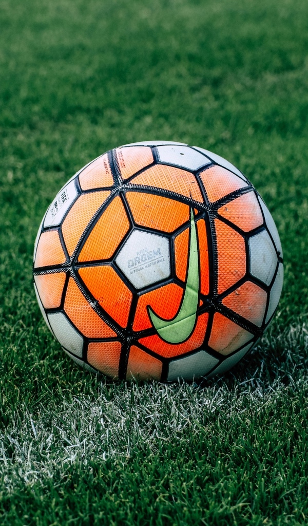 Футбольный мяч на зеленом поле