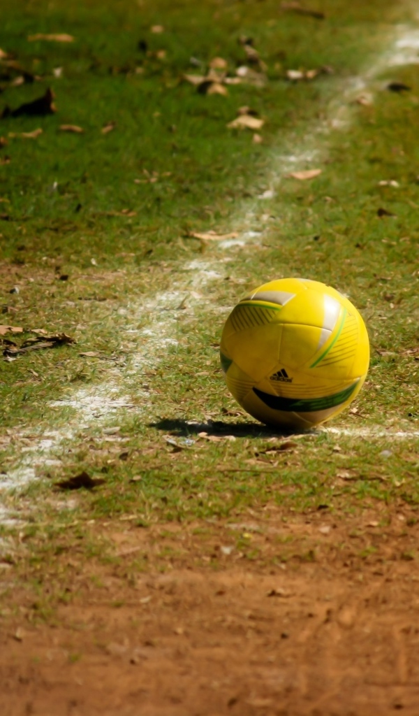 Желтый мяч на футбольном поле осенью 