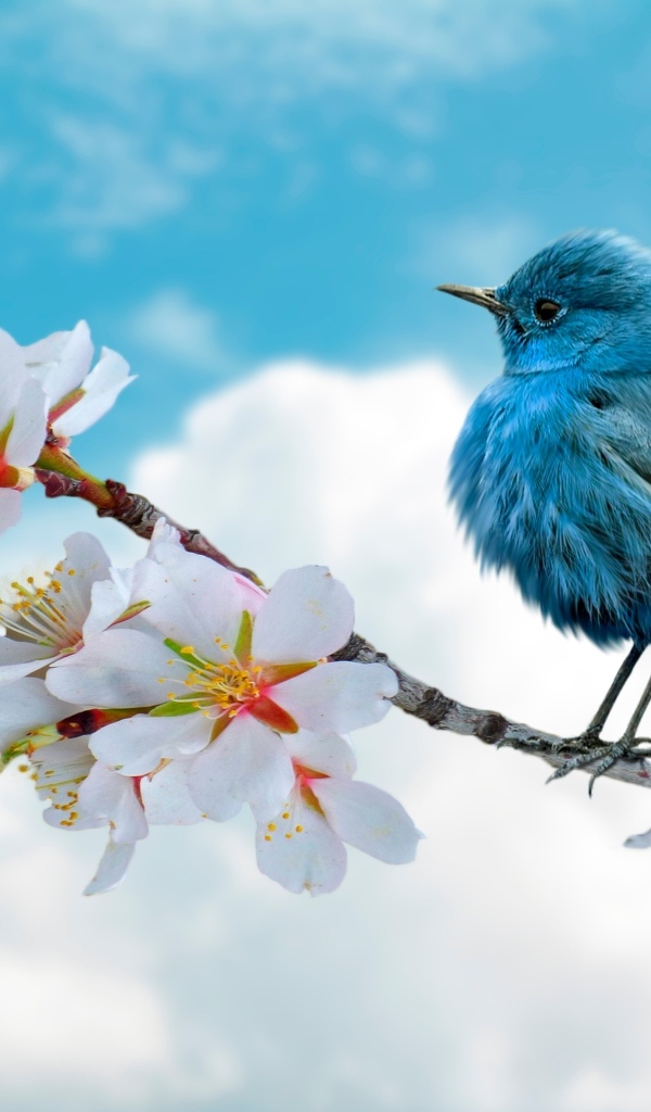 Голубая птица сидит на цветущей ветке весной