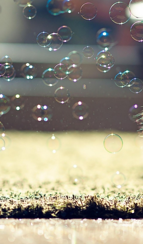 Маленький серый котенок с мыльными пузырями