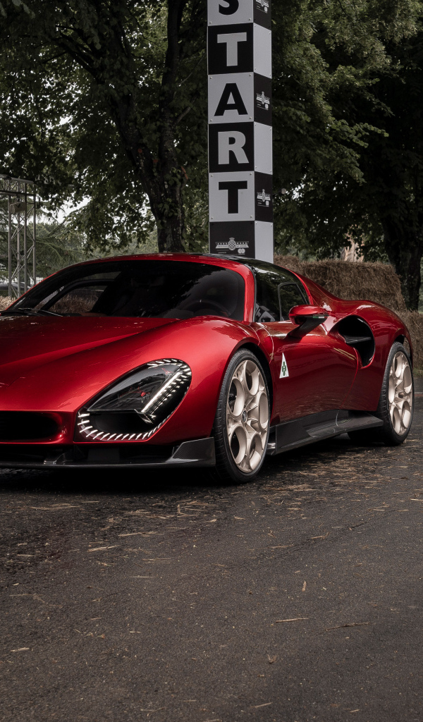 Красный автомобиль Alfa Romeo 33 Stradale