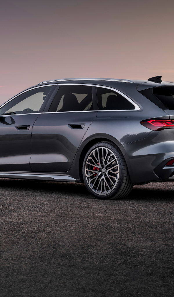 Вид сбоку на серый автомобиль Audi S5 Avant TFSI quattro 2024 года