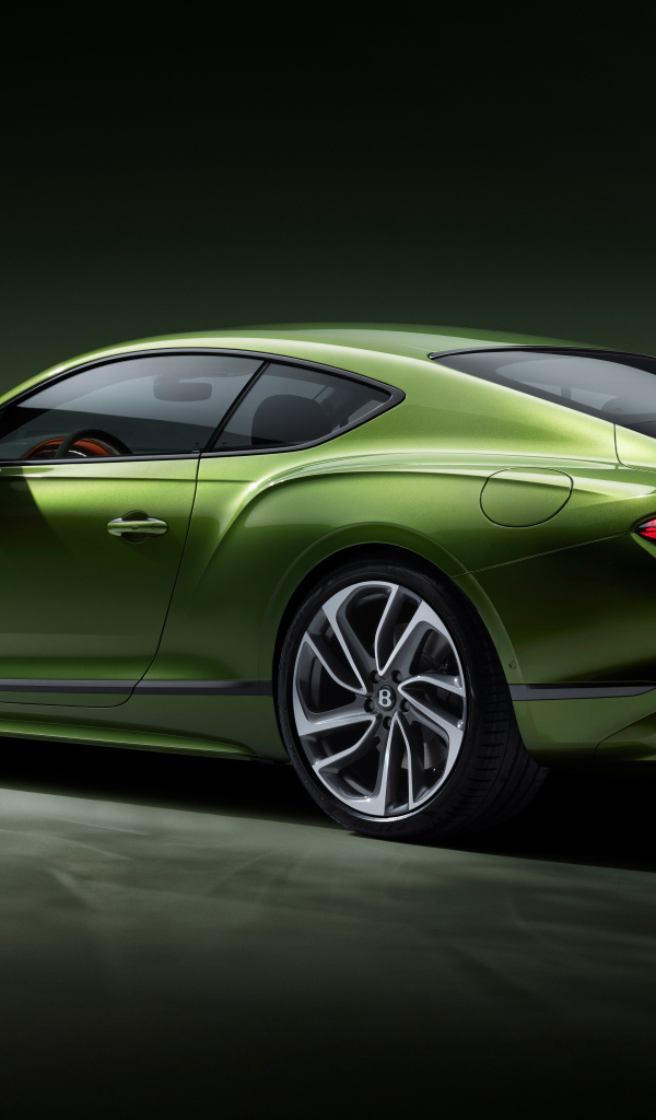 Вид сзади на автомобиль Bentley Continental GT Speed 2024 года