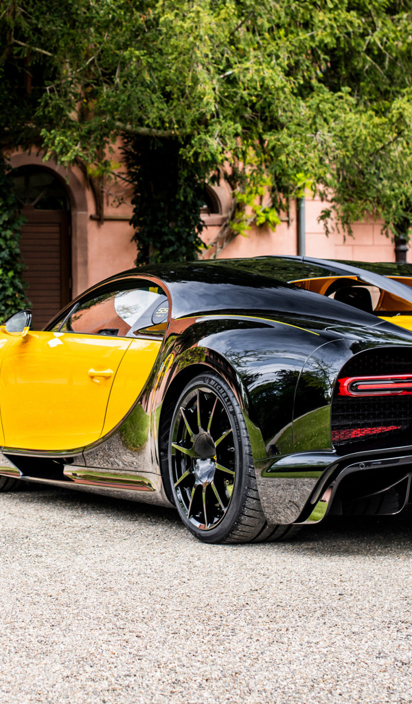 Вид сзади на спорткар Bugatti Type 55 Roadster Bugatti Chiron Super Sport 55 One Of One