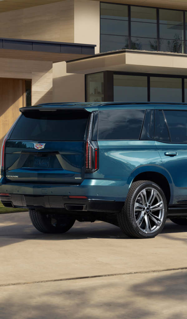 Синий внедорожник Cadillac Escalade 2025 года вид сзади