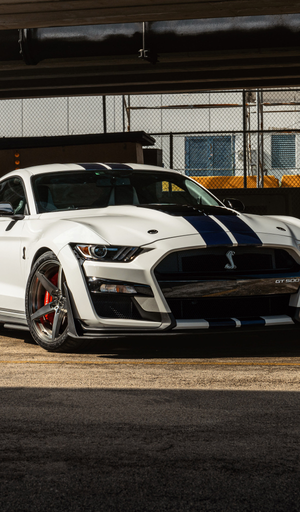 Автомобиль Mustang GT500 в ангаре