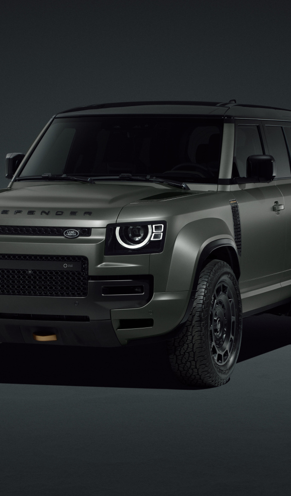 Вид спереди на внедорожник Land Rover Defender OCTA Edition One 2024 года