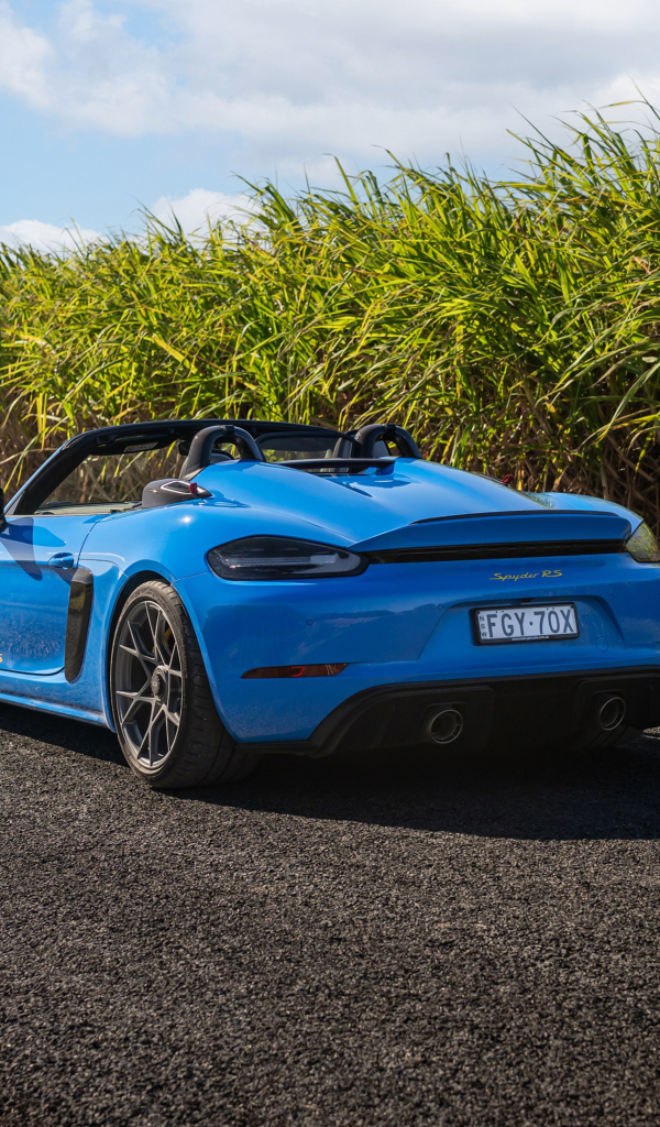 Вид сзади на автомобиль Porsche 718 Spyder RS Weissach Package 2024 года